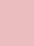 *TEST*